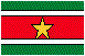 Flag of Suriname
